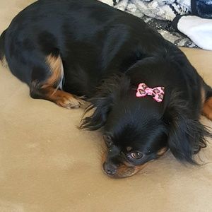 Meet your Posher, Brittany